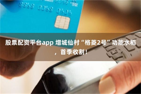 股票配资平台app 增城仙村“格菱2号”功能水稻，首季收割！