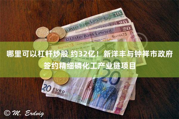哪里可以杠杆炒股 约32亿！新洋丰与钟祥市政府签约精细磷化工产业链项目
