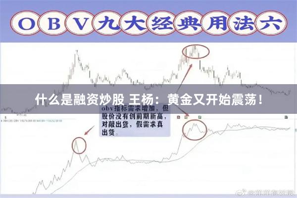 什么是融资炒股 王杨：黄金又开始震荡！