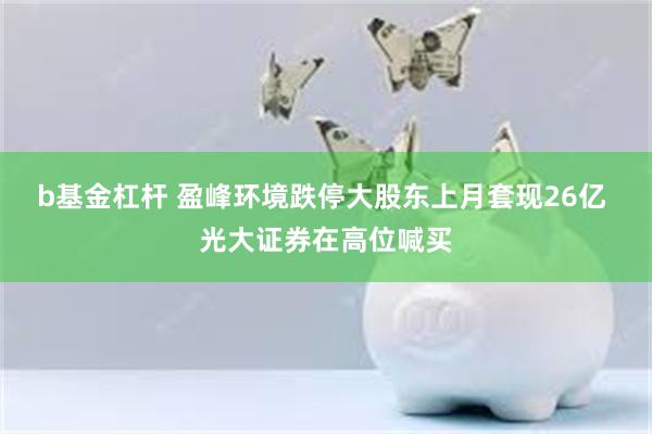 b基金杠杆 盈峰环境跌停大股东上月套现26亿 光大证券在高位喊买