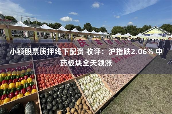 小额股票质押线下配资 收评:沪指跌2.06% 中药板块全天领涨