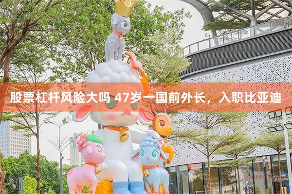 股票杠杆风险大吗 47岁一国前外长，入职比亚迪
