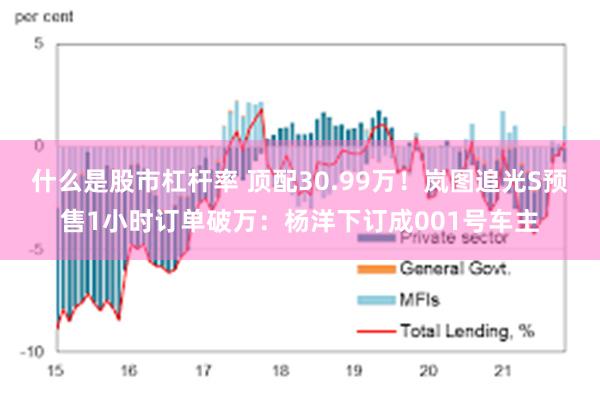什么是股市杠杆率 顶配30.99万!岚图追光S预售1小时订单破万:杨洋下订成001号车主