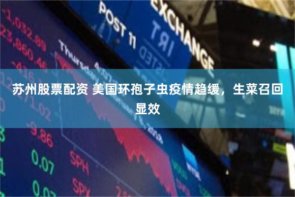 苏州股票配资 美国环孢子虫疫情趋缓，生菜召回显效