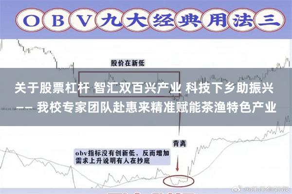 关于股票杠杆 智汇双百兴产业 科技下乡助振兴 —— 我校专家团队赴惠来精准赋能茶渔特色产业