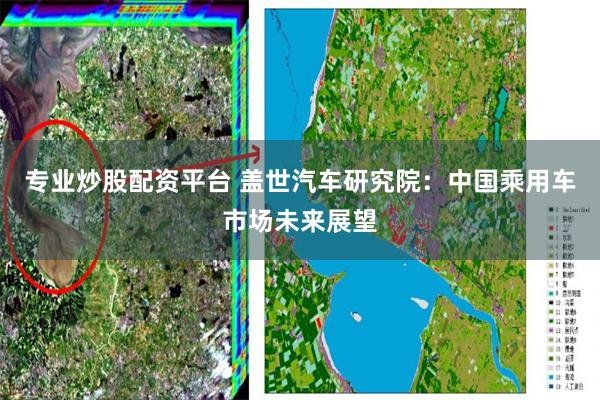 专业炒股配资平台 盖世汽车研究院：中国乘用车市场未来展望