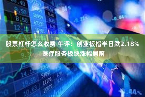 股票杠杆怎么收费 午评：创业板指半日跌2.18% 医疗服务板块涨幅居前