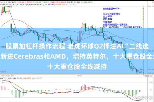 股票加杠杆操作流程 老虎环球Q2押注AI“二线选手”：新进Cerebras和AMD，增持英特尔，十大重仓股全线减持