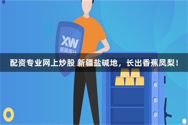 配资专业网上炒股 新疆盐碱地，长出香蕉凤梨！
