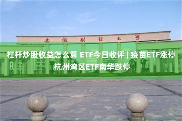 杠杆炒股收益怎么算 ETF今日收评 | 疫苗ETF涨停 杭州湾区ETF南华跌停