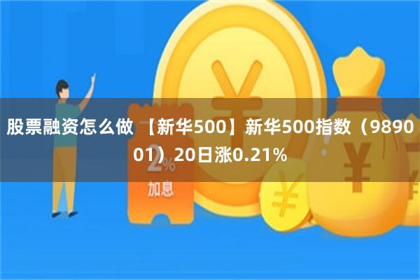 股票融资怎么做 【新华500】新华500指数（989001）20日涨0.21%