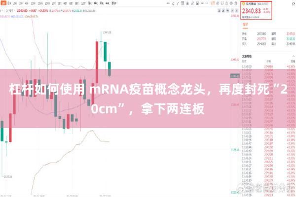 杠杆如何使用 mRNA疫苗概念龙头，再度封死“20cm”，拿下两连板