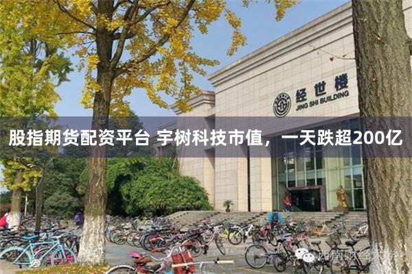 股指期货配资平台 宇树科技市值，一天跌超200亿