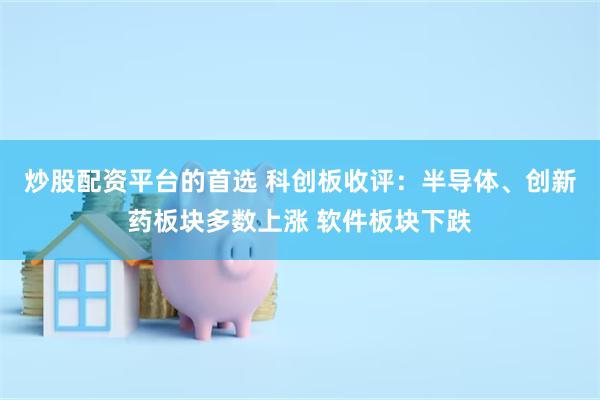 炒股配资平台的首选 科创板收评：半导体、创新药板块多数上涨 软件板块下跌