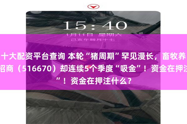 十大配资平台查询 本轮“猪周期”罕见漫长，畜牧养殖ETF招商（516670）却连续5个季度“吸金”！资金在押注什么？