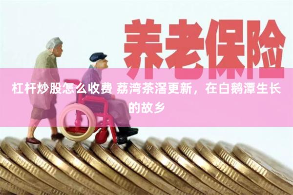 杠杆炒股怎么收费 荔湾茶滘更新，在白鹅潭生长的故乡