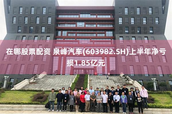 在哪股票配资 泉峰汽车(603982.SH)上半年净亏损1.85亿元