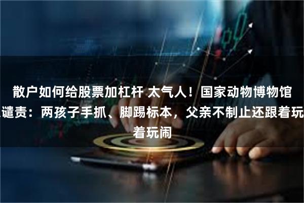 散户如何给股票加杠杆 太气人！国家动物博物馆深谴责：两孩子手抓、脚踢标本，父亲不制止还跟着玩闹