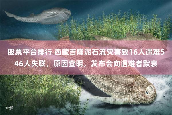 股票平台排行 西藏吉隆泥石流灾害致16人遇难546人失联，原因查明，发布会向遇难者默哀
