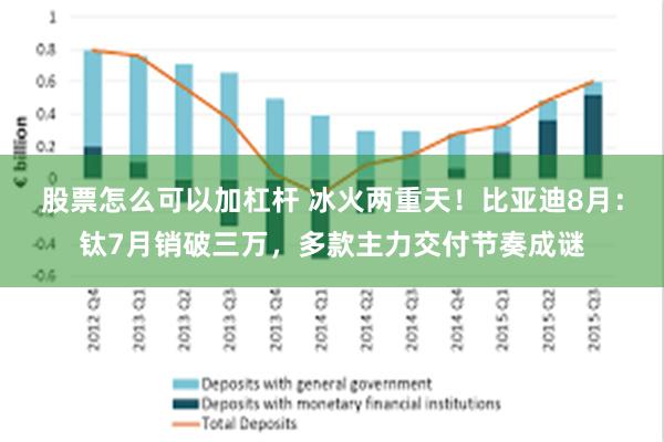 股票怎么可以加杠杆 冰火两重天！比亚迪8月：钛7月销破三万，多款主力交付节奏成谜