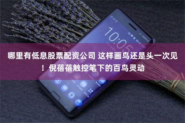哪里有低息股票配资公司 这样画鸟还是头一次见！倪蓓蓓触控笔下的百鸟灵动