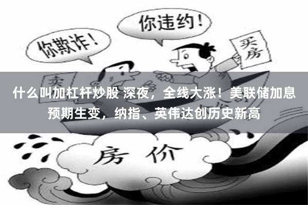 什么叫加杠杆炒股 深夜，全线大涨！美联储加息预期生变，纳指、英伟达创历史新高
