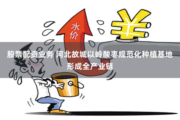 股票配资业务 河北故城以岭酸枣规范化种植基地形成全产业链