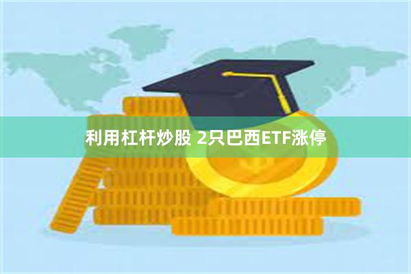 利用杠杆炒股 2只巴西ETF涨停