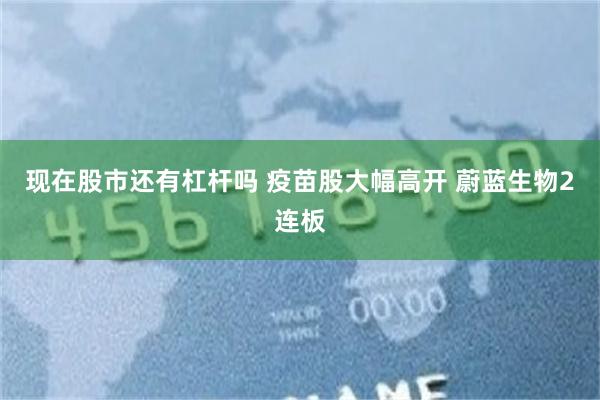 现在股市还有杠杆吗 疫苗股大幅高开 蔚蓝生物2连板