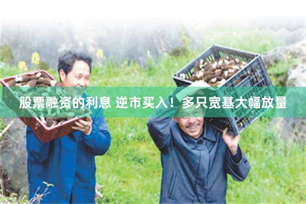 股票融资的利息 逆市买入！多只宽基大幅放量
