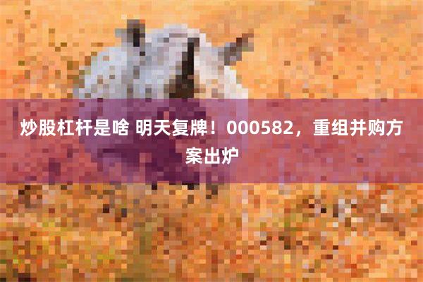炒股杠杆是啥 明天复牌！000582，重组并购方案出炉
